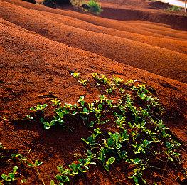 现象级！《流放之路2》Steam在线峰值超45.9万